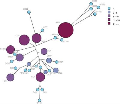 Molecular Characteristics of Staphylococcus aureus From Food Samples and Food Poisoning Outbreaks in Shijiazhuang, China